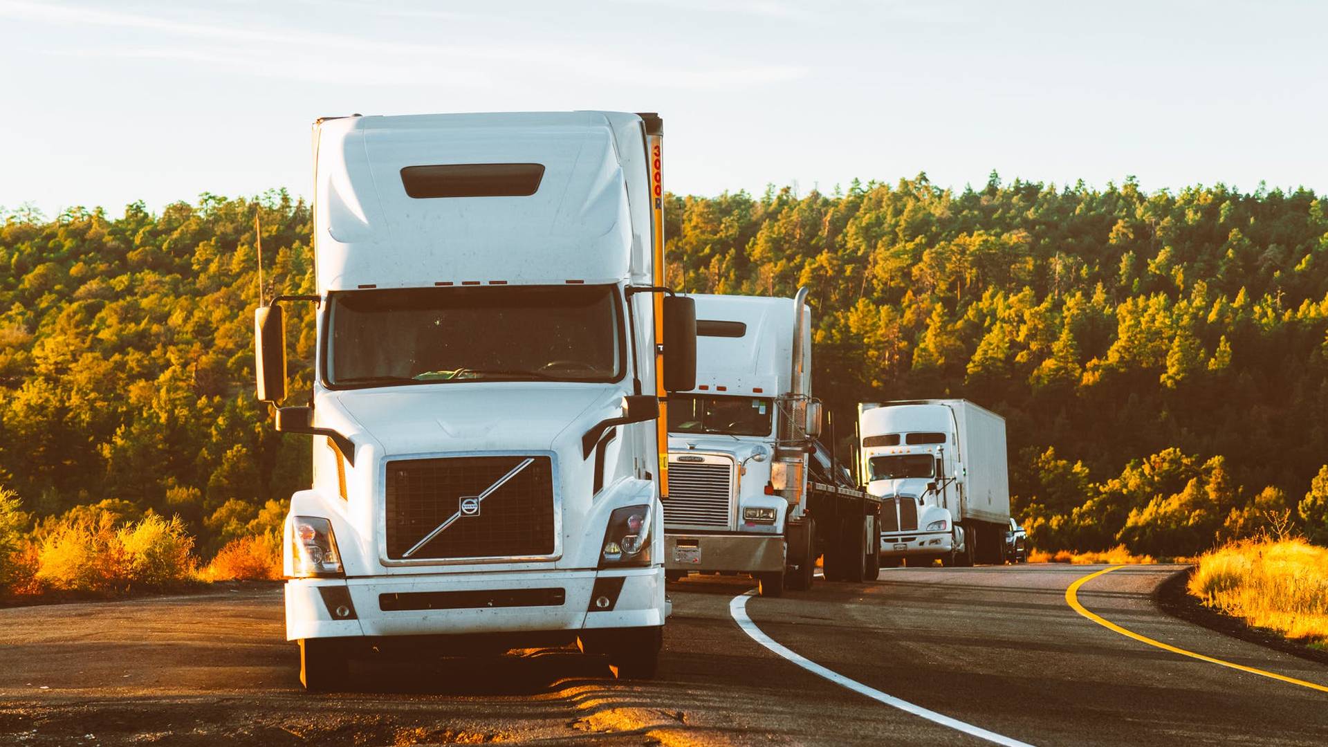 Transportation Background
